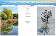 wisdom39 screen shot